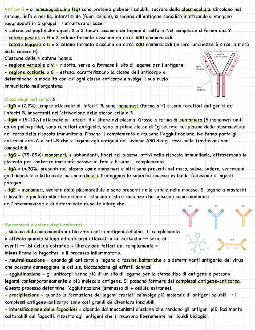 Sistema linfatico = insieme vasi= circolazione linfatica
Rete vasi linfatici → linfa.
Tessuti e organi linfoidi.
1
In alcuni tratti è parall