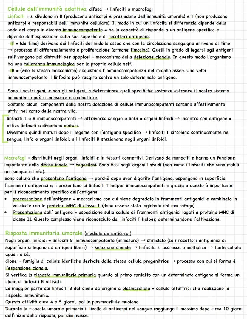 Sistema linfatico = insieme vasi= circolazione linfatica
Rete vasi linfatici → linfa.
Tessuti e organi linfoidi.
1
In alcuni tratti è parall