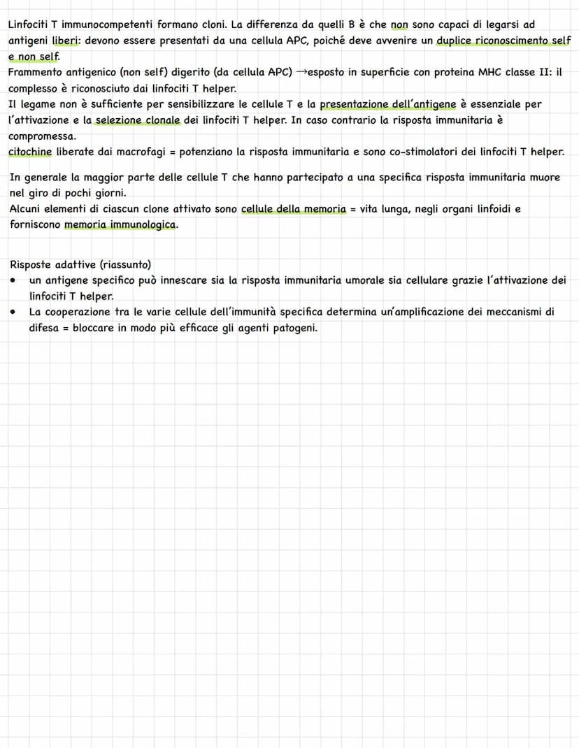Sistema linfatico = insieme vasi= circolazione linfatica
Rete vasi linfatici → linfa.
Tessuti e organi linfoidi.
1
In alcuni tratti è parall