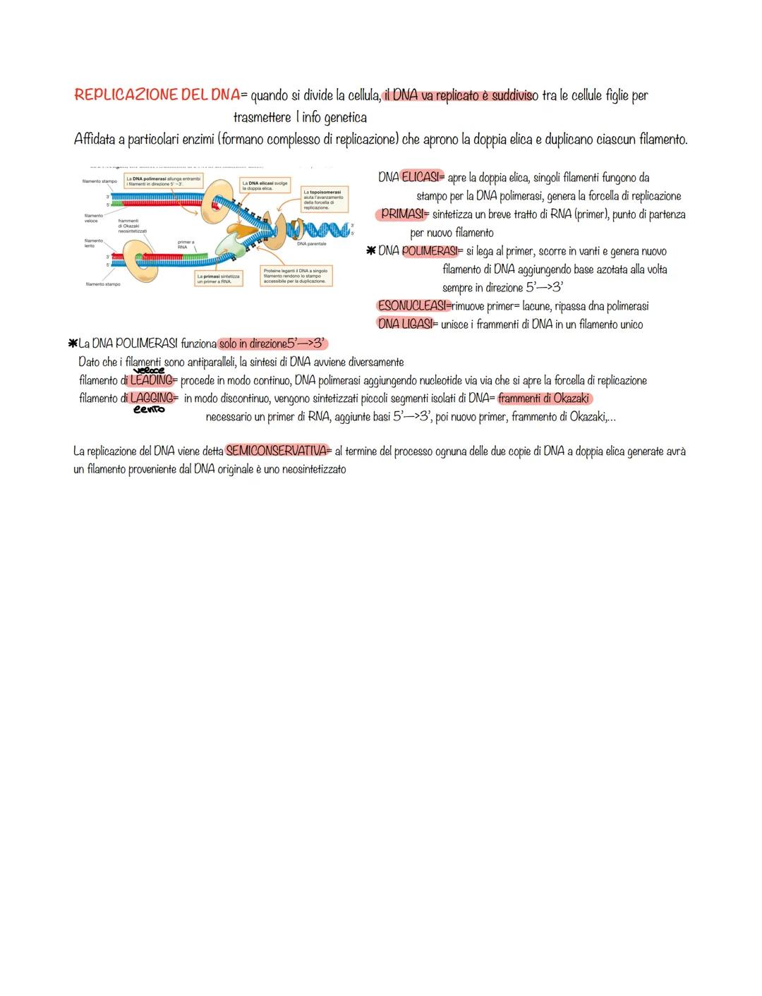 ACIDI NUCLEICI= contengono I informazioni genetiche di tutti gli organismi viventi
DNA acido dessosiribonucleico
deposito info genetiche
RNA