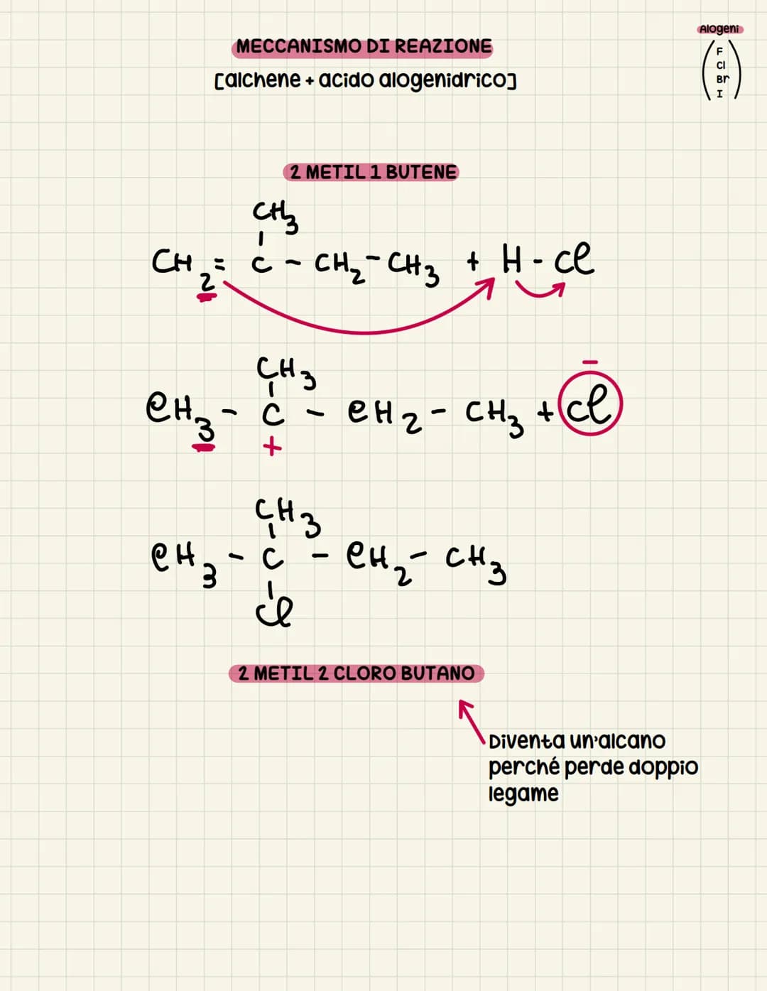 Gli alcheni
DEFINIZIONE: classe di composti organici caratterizzati dalla presenza
di un doppio legame carbonio-carbonio.
Formula generale
n
