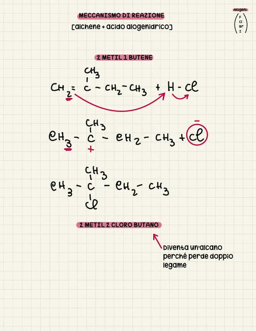 Gli alcheni
DEFINIZIONE: classe di composti organici caratterizzati dalla presenza
di un doppio legame carbonio-carbonio.
Formula generale
n