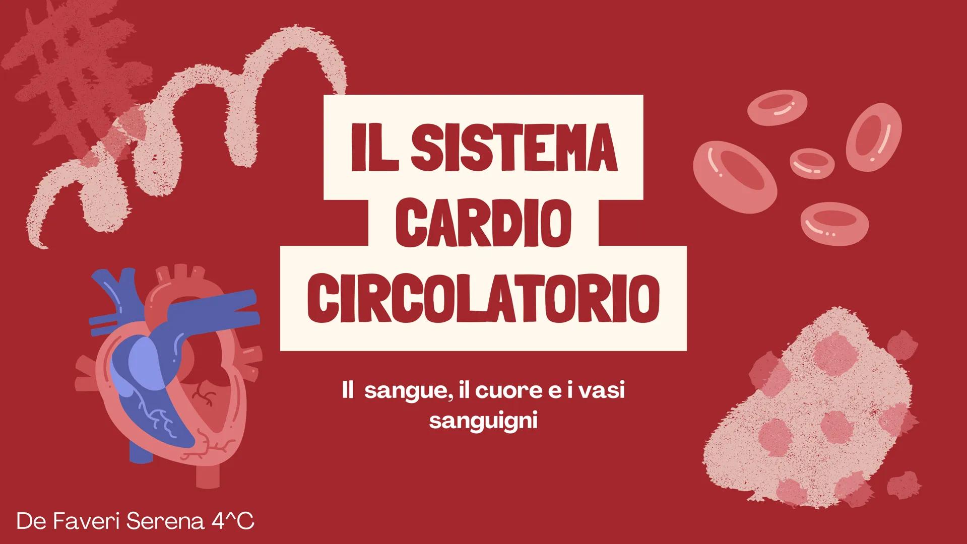 De Faveri Serena 4^C

IL SISTEMA
CARDIO
CIRCOLATORIO

Il sangue, il cuore e i vasi
sanguigni # IL SISTEMA
CARDIOCIRCOLATORIO

Funzioni

• so