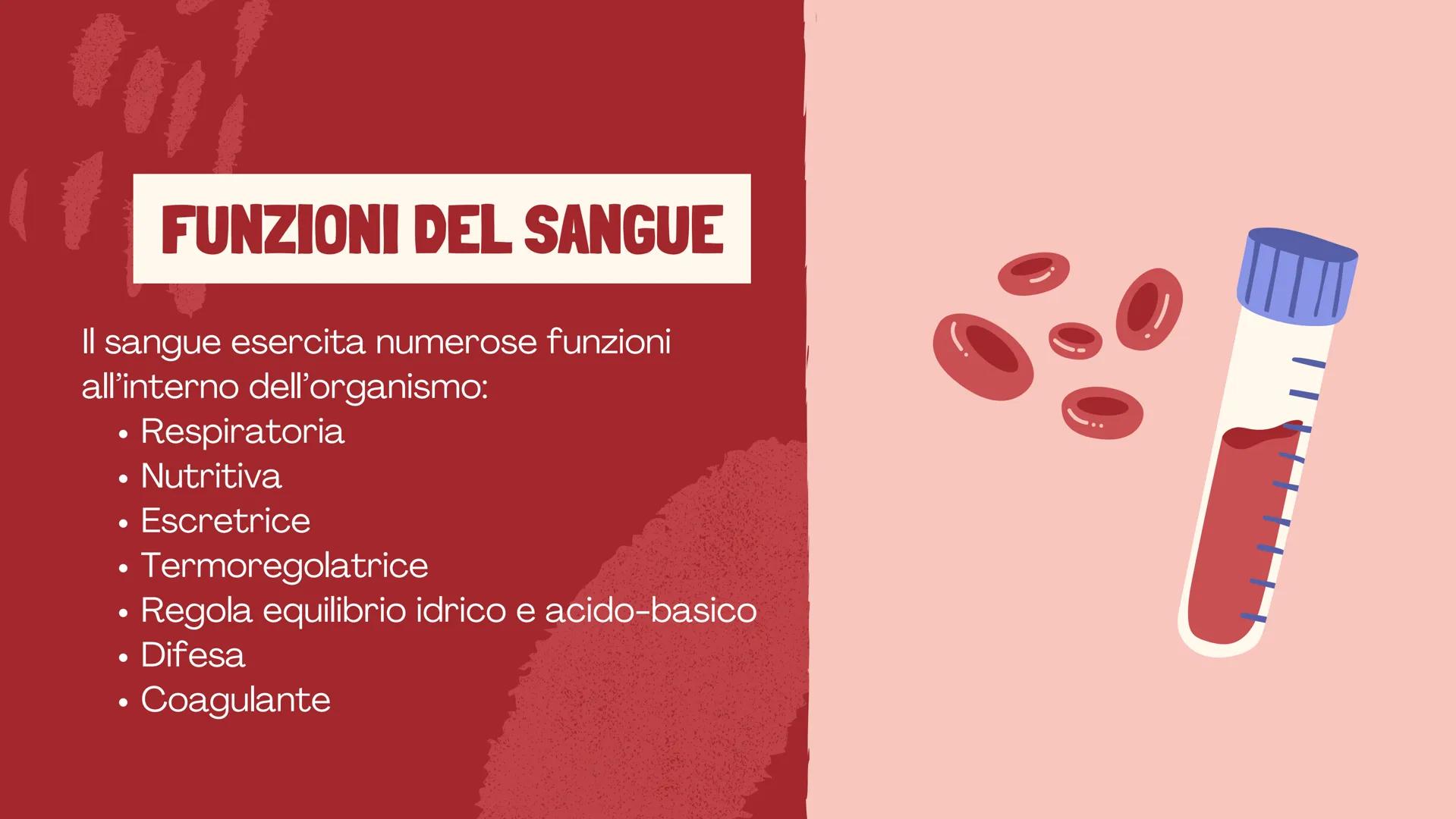 De Faveri Serena 4^C

IL SISTEMA
CARDIO
CIRCOLATORIO

Il sangue, il cuore e i vasi
sanguigni # IL SISTEMA
CARDIOCIRCOLATORIO

Funzioni

• so