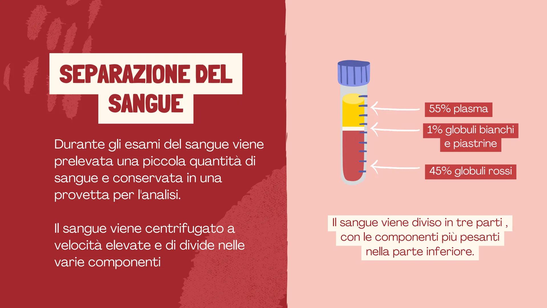 De Faveri Serena 4^C

IL SISTEMA
CARDIO
CIRCOLATORIO

Il sangue, il cuore e i vasi
sanguigni # IL SISTEMA
CARDIOCIRCOLATORIO

Funzioni

• so