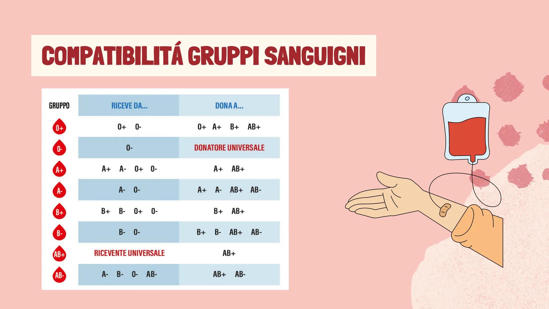 De Faveri Serena 4^C

IL SISTEMA
CARDIO
CIRCOLATORIO

Il sangue, il cuore e i vasi
sanguigni # IL SISTEMA
CARDIOCIRCOLATORIO

Funzioni

• so