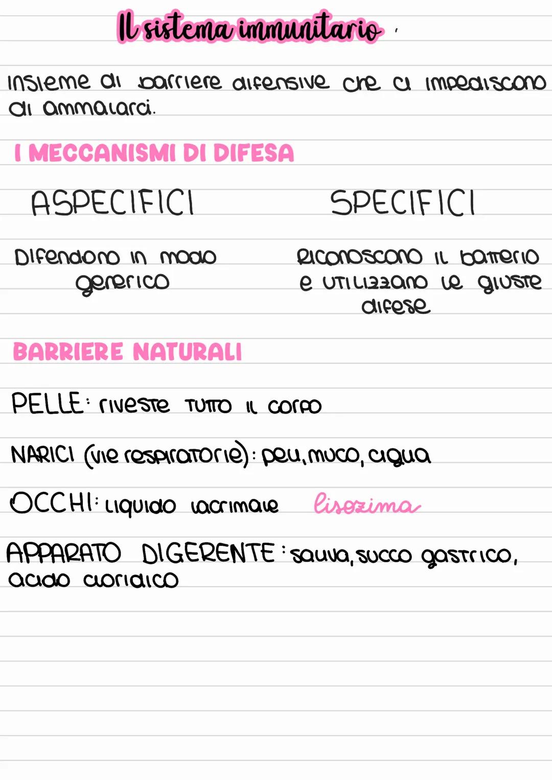 Il sistema immunitario.
insieme di barriere difensive che a impediscono
di ammalarci.
I MECCANISMI DI DIFESA
ASPECIFICI
DIfendono in modo
ge