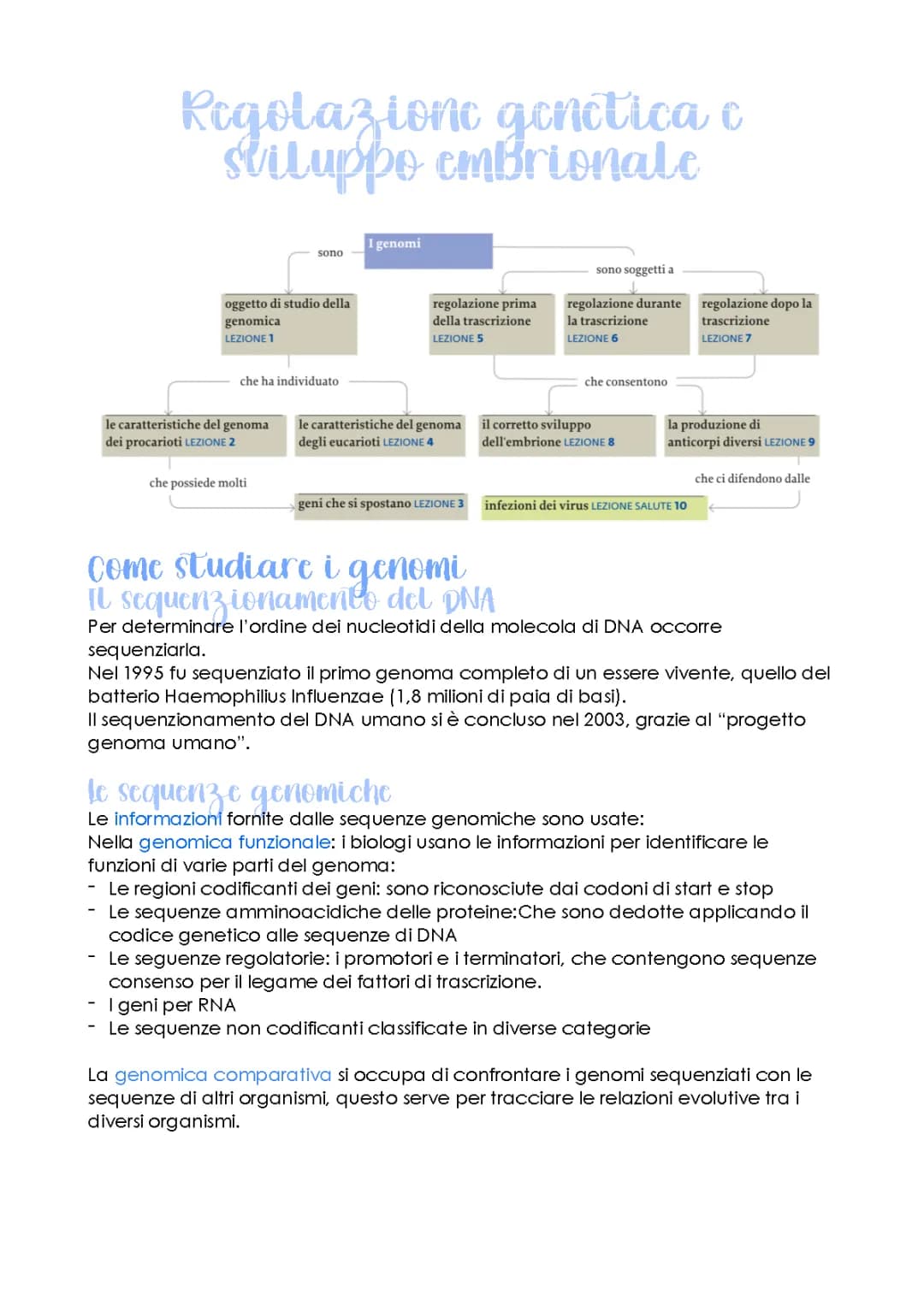 Regolazione genica e sviluppo embrionale