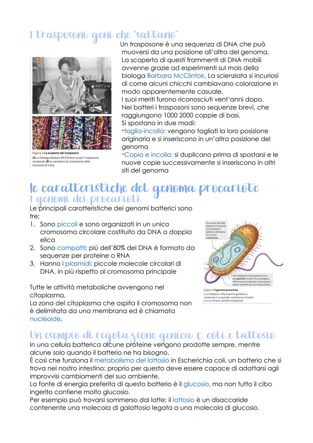 Rodione genetica c
sviluppo embrionale
oggetto di studio della
genomica
LEZIONE 1
-
sono
che ha individuato
le caratteristiche del genoma
de