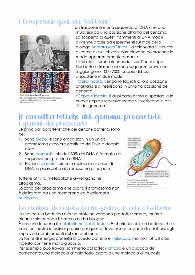 Rodione genetica c
sviluppo embrionale
oggetto di studio della
genomica
LEZIONE 1
-
sono
che ha individuato
le caratteristiche del genoma
de