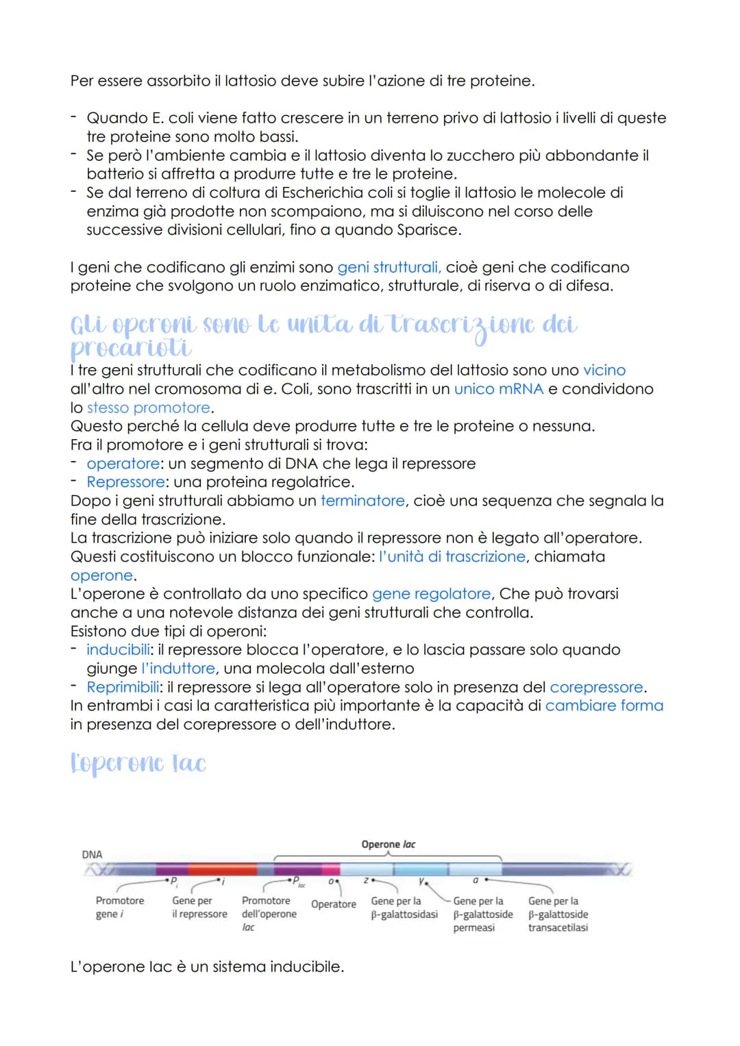 Rodione genetica c
sviluppo embrionale
oggetto di studio della
genomica
LEZIONE 1
-
sono
che ha individuato
le caratteristiche del genoma
de
