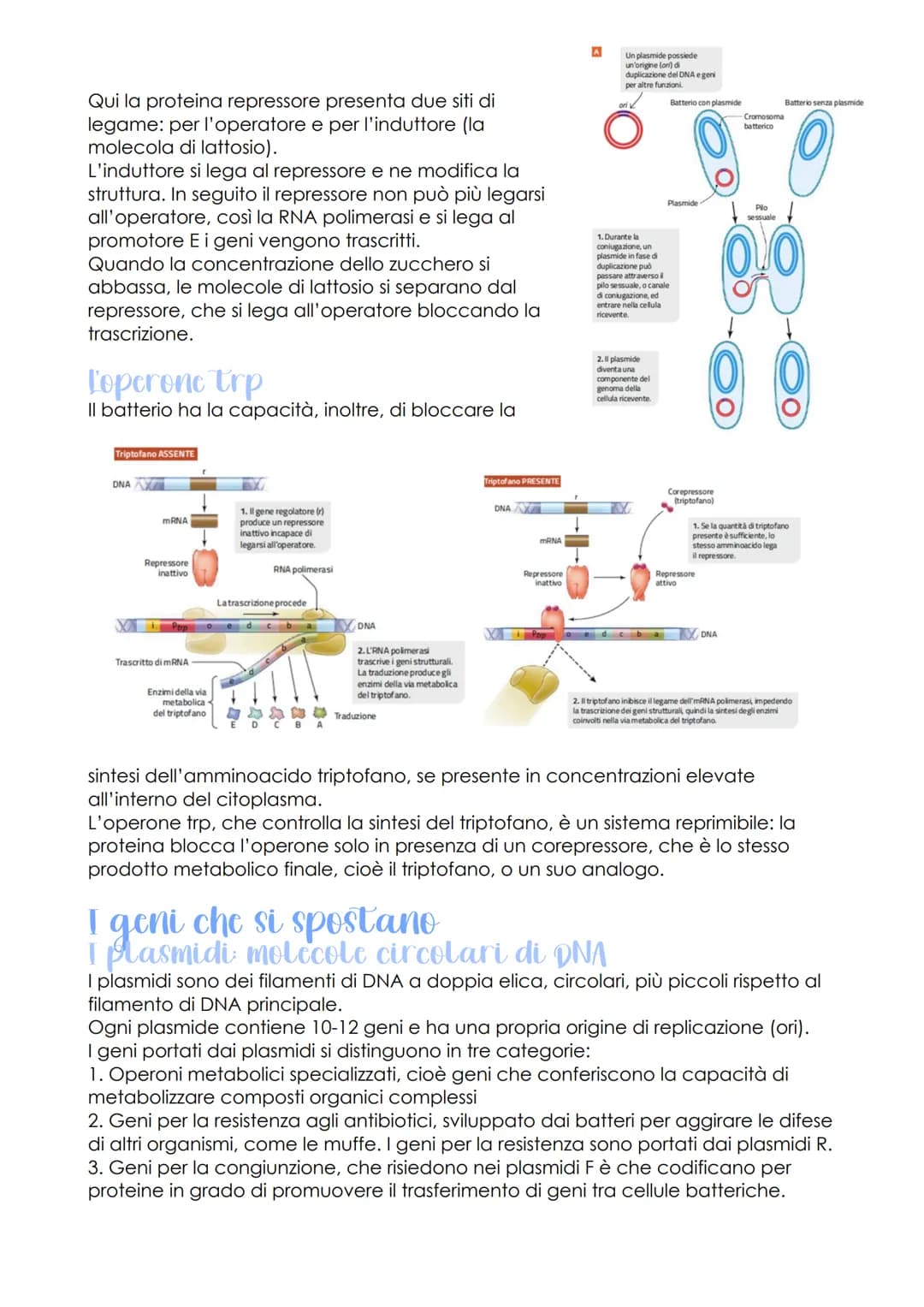 Rodione genetica c
sviluppo embrionale
oggetto di studio della
genomica
LEZIONE 1
-
sono
che ha individuato
le caratteristiche del genoma
de