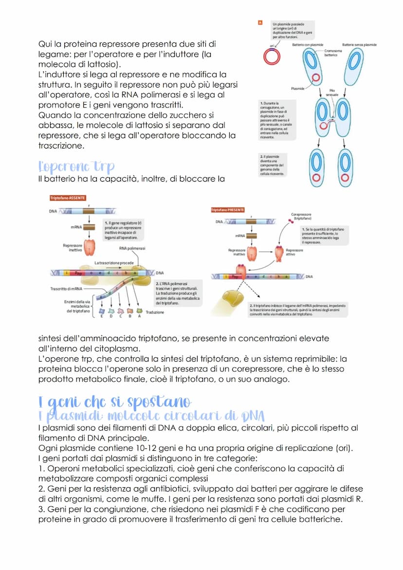 Rodione genetica c
sviluppo embrionale
oggetto di studio della
genomica
LEZIONE 1
-
sono
che ha individuato
le caratteristiche del genoma
de