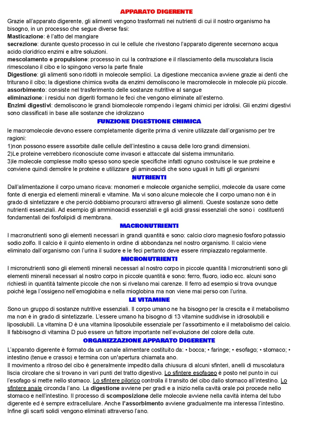 apparato digerente 