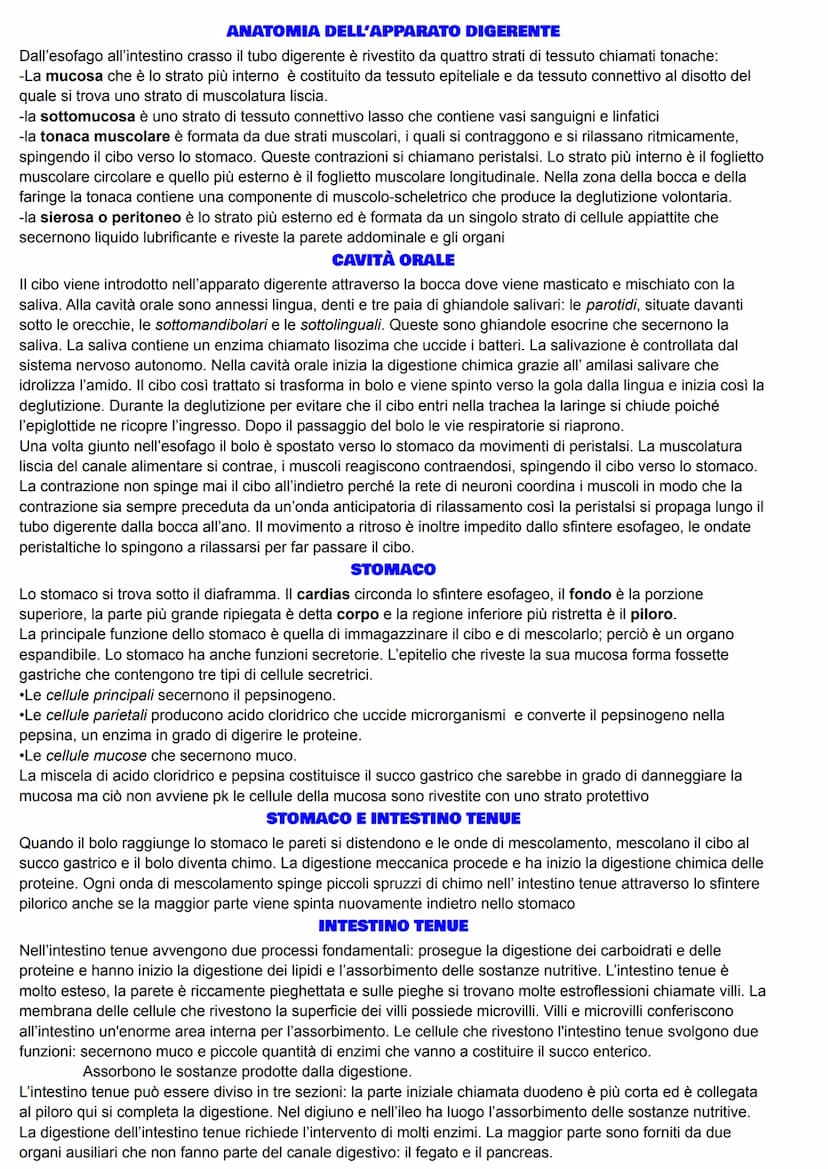 APPARATO DIGERENTE
Grazie all'apparato digerente, gli alimenti vengono trasformati nei nutrienti di cui il nostro organismo ha
bisogno, in u
