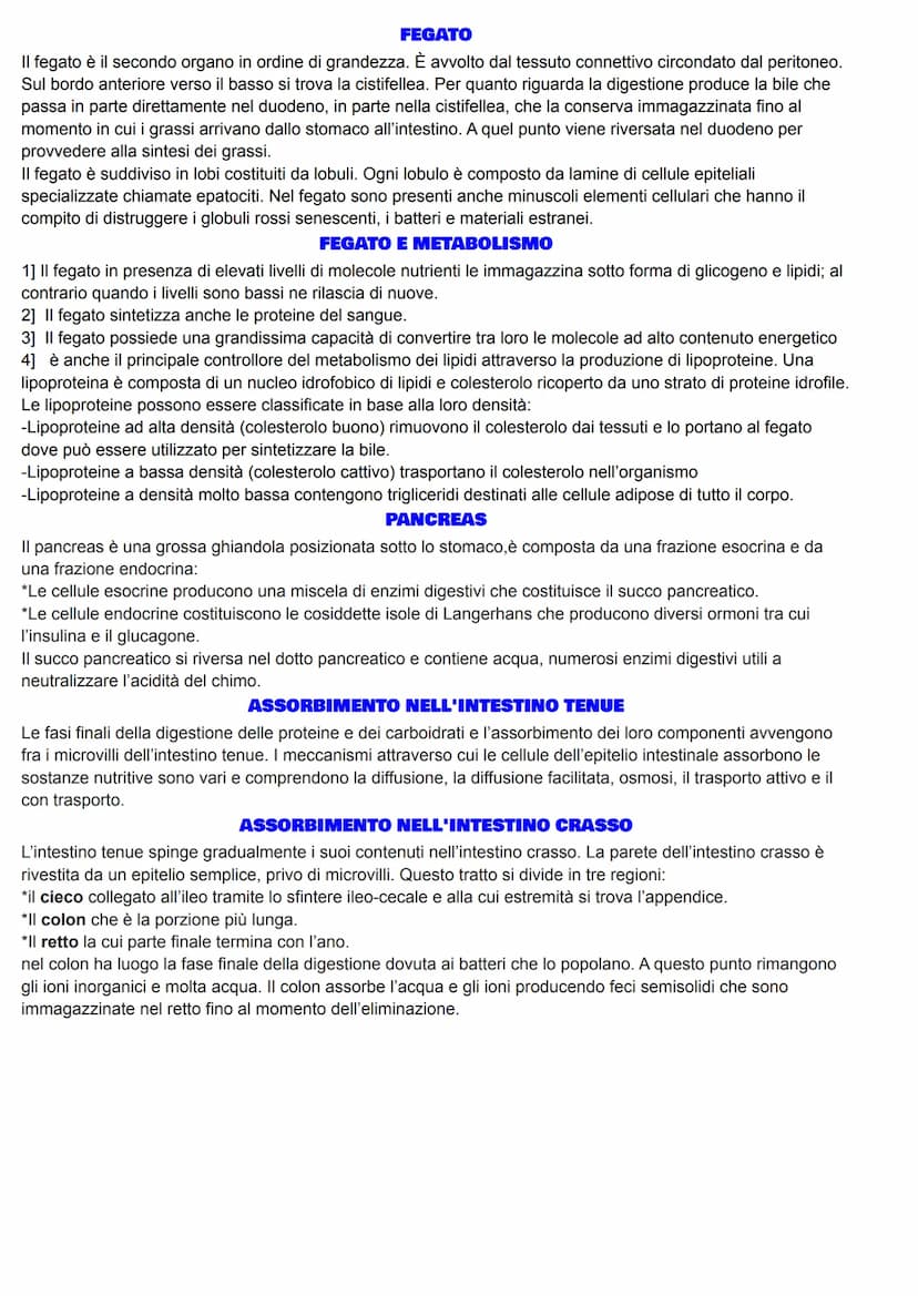 APPARATO DIGERENTE
Grazie all'apparato digerente, gli alimenti vengono trasformati nei nutrienti di cui il nostro organismo ha
bisogno, in u