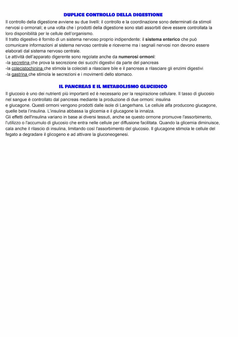 APPARATO DIGERENTE
Grazie all'apparato digerente, gli alimenti vengono trasformati nei nutrienti di cui il nostro organismo ha
bisogno, in u