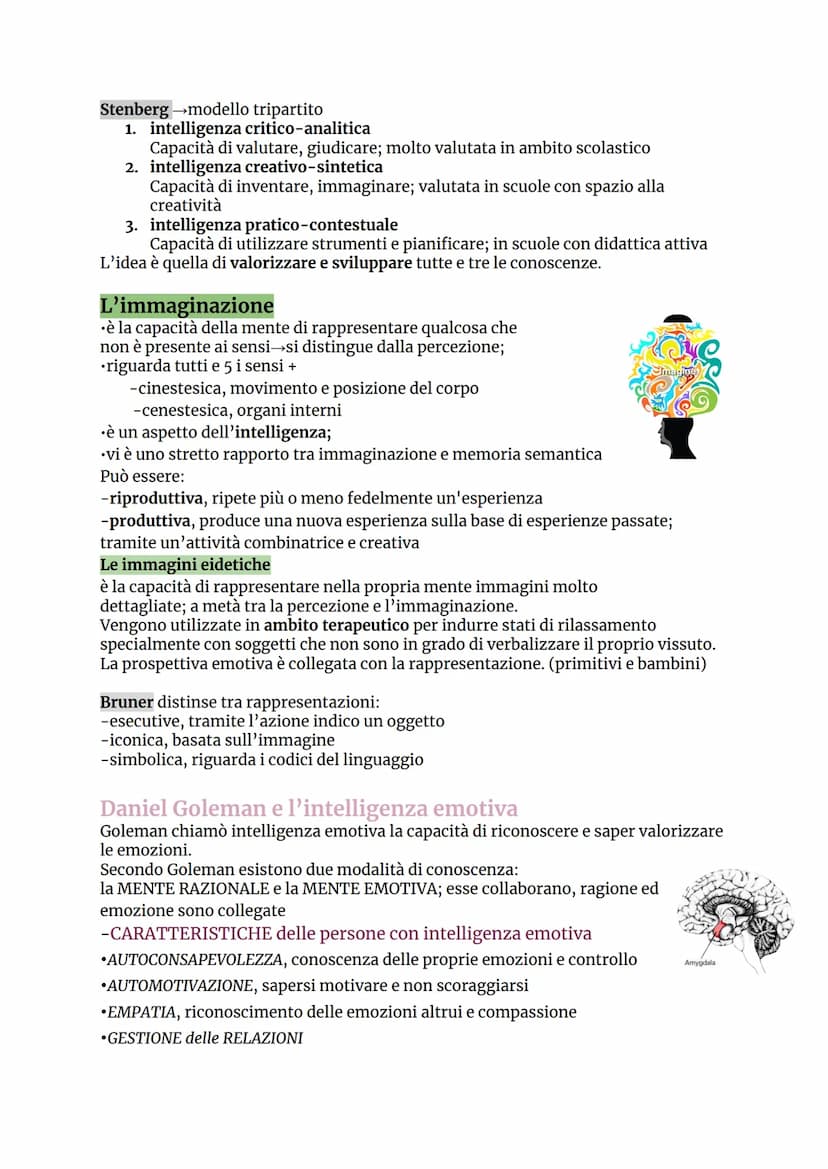 IL PENSIERO
Il pensiero è l'attività cognitiva più elevata e può essere considerato
uno strumento dell'intelligenza umana.
↳ è astratto e co