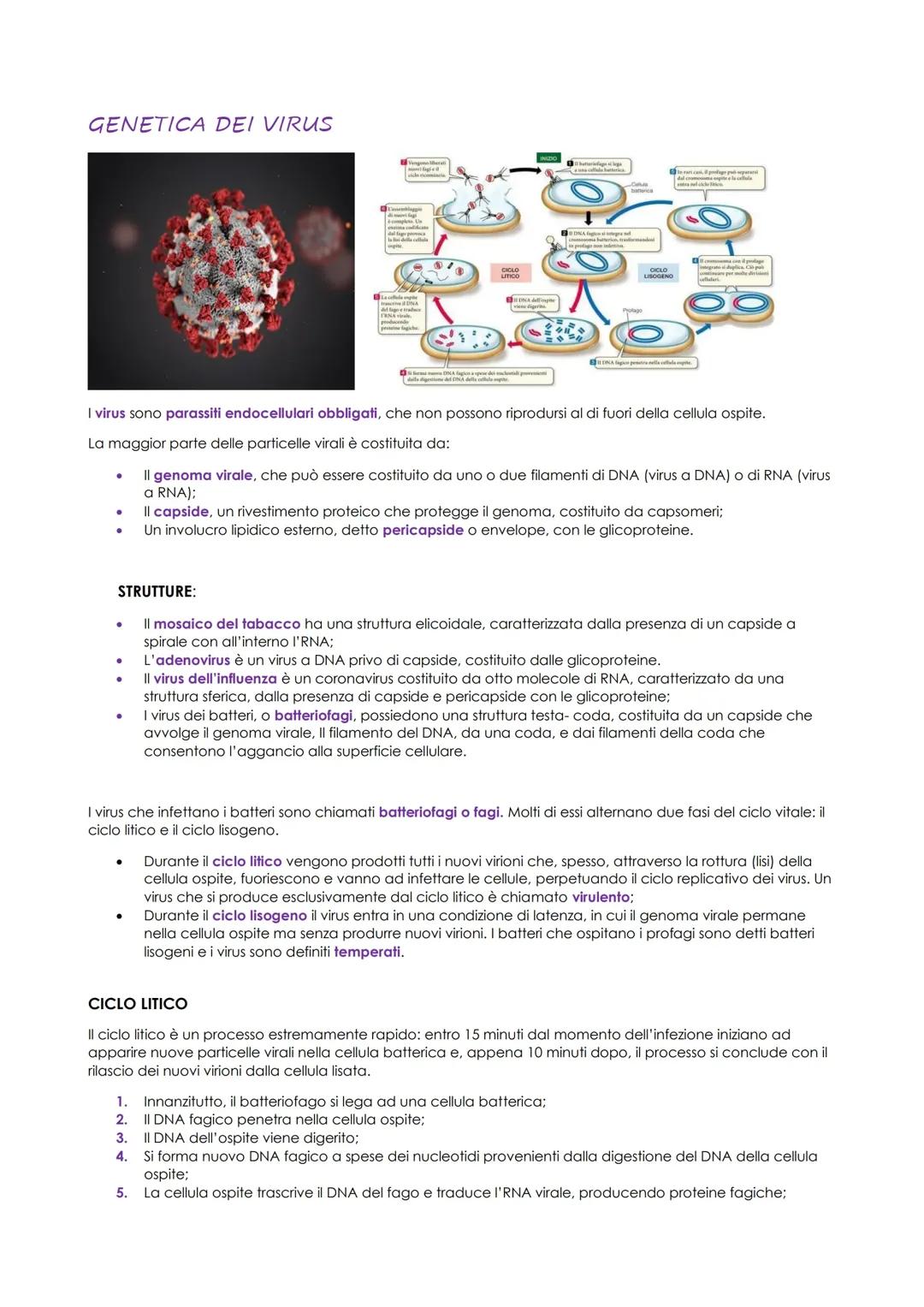 Genetica dei virus