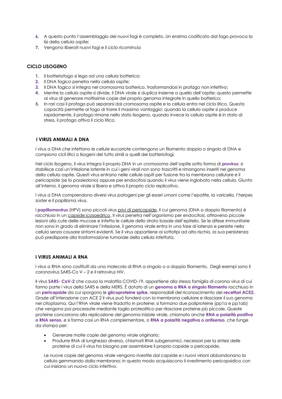 GENETICA DEI VIRUS
●
●
Vengono liberati
fag
de ricomincia
L'assemblaggie
diag
completo. Us
coddat
Sentage
●
crive il DNA
La ceffula pe
de fa