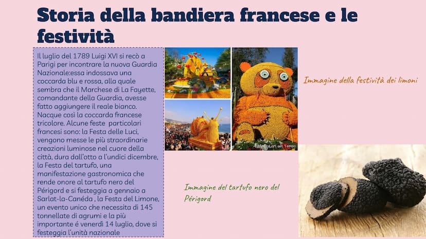 Territorio e
ambiente della
Francia Aspetto fisico della Francia |
Parigi
Superficie
Popolazione 64.812.052 ab.
Moneta
Capitale
543.940 km²
