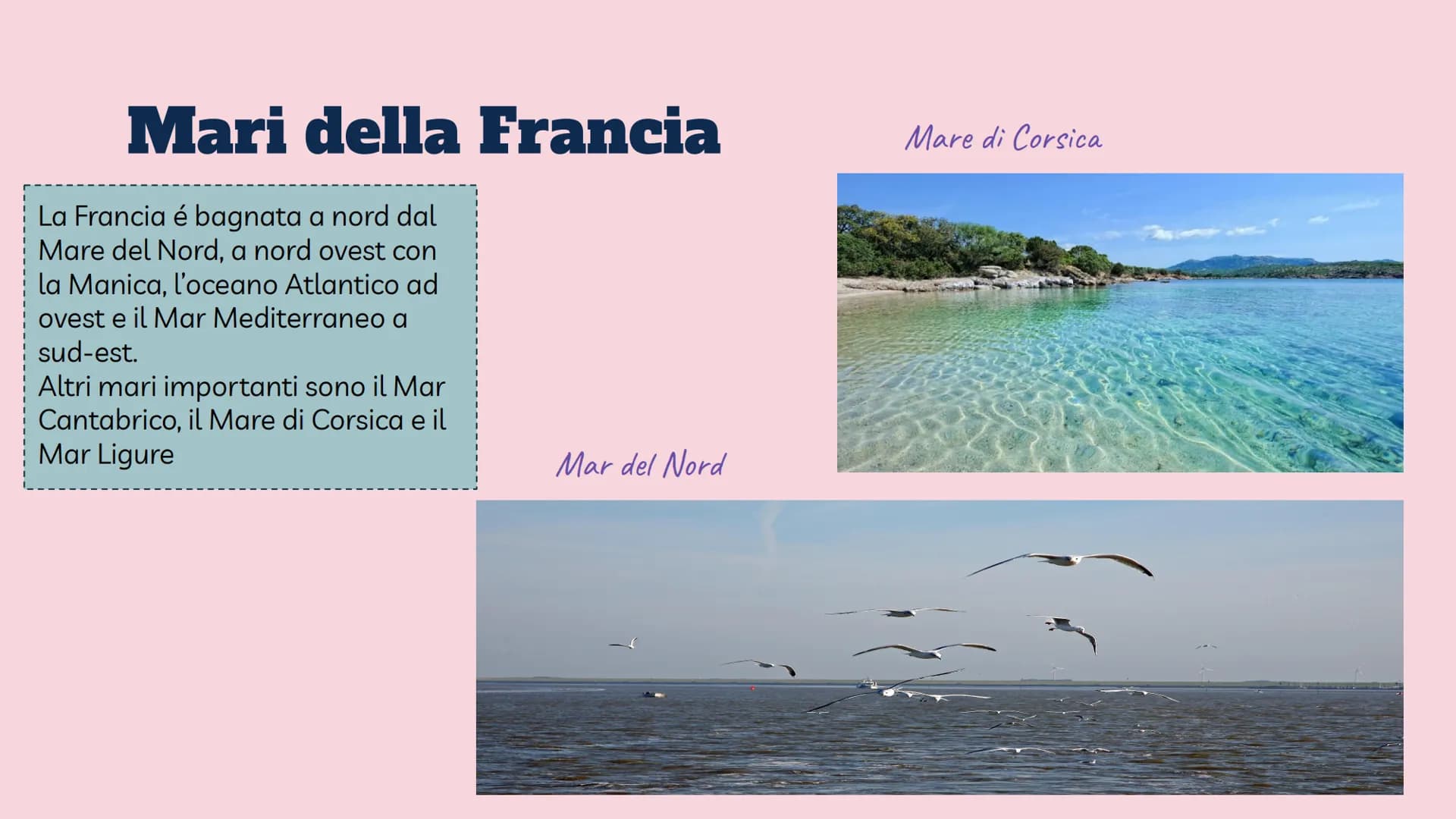 Territorio e
ambiente della
Francia Aspetto fisico della Francia |
Parigi
Superficie
Popolazione 64.812.052 ab.
Moneta
Capitale
543.940 km²
