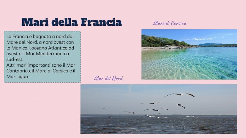 Territorio e
ambiente della
Francia Aspetto fisico della Francia |
Parigi
Superficie
Popolazione 64.812.052 ab.
Moneta
Capitale
543.940 km²
