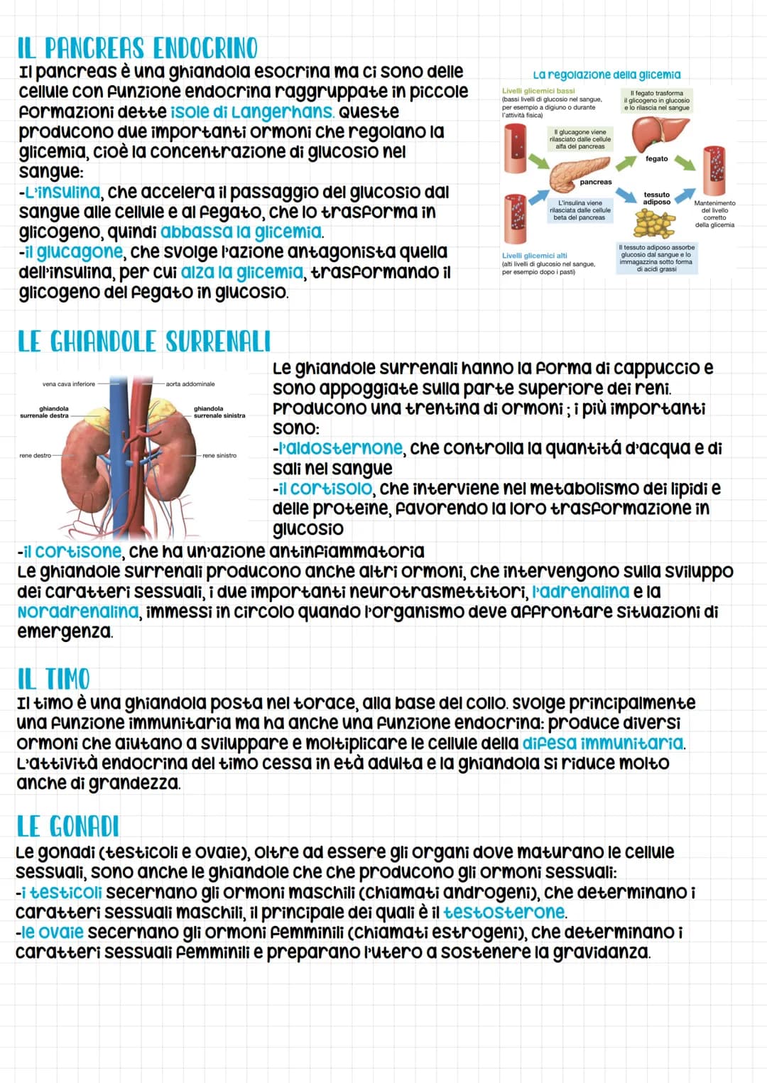 
<p>Il sistema endocrino è costituito dall'insieme delle ghiandole endocrine con il compito ben preciso di collegare le varie parti dell'org