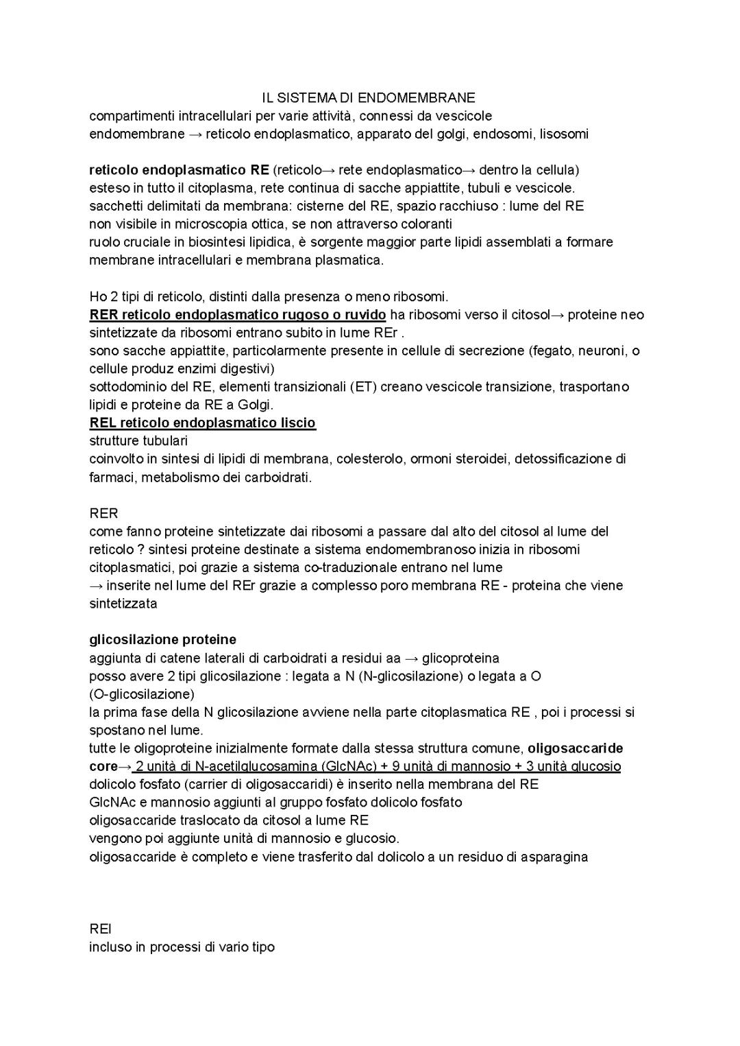 Il sistema di endomembrane (RER REL GOLGI ), esocitosi endocitosi 