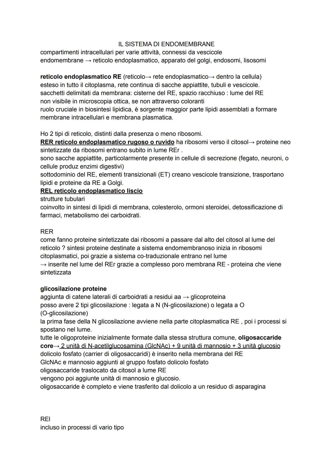 IL SISTEMA DI ENDOMEMBRANE
compartimenti intracellulari per varie attività, connessi da vescicole
endomembrane → reticolo endoplasmatico, ap