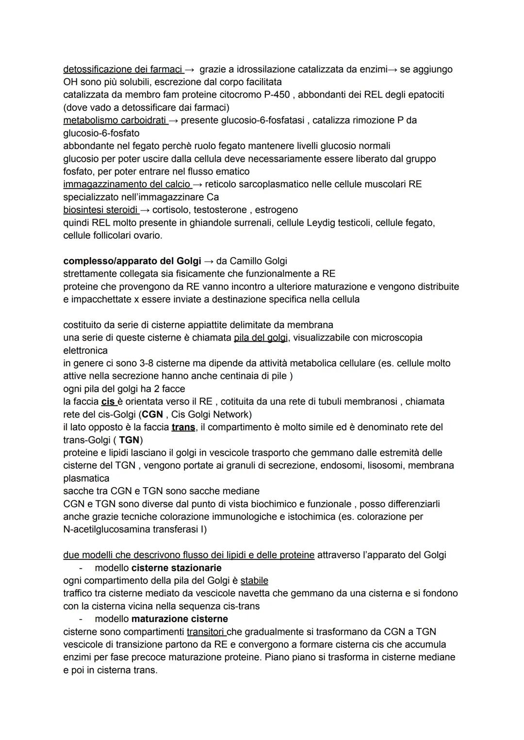 IL SISTEMA DI ENDOMEMBRANE
compartimenti intracellulari per varie attività, connessi da vescicole
endomembrane → reticolo endoplasmatico, ap
