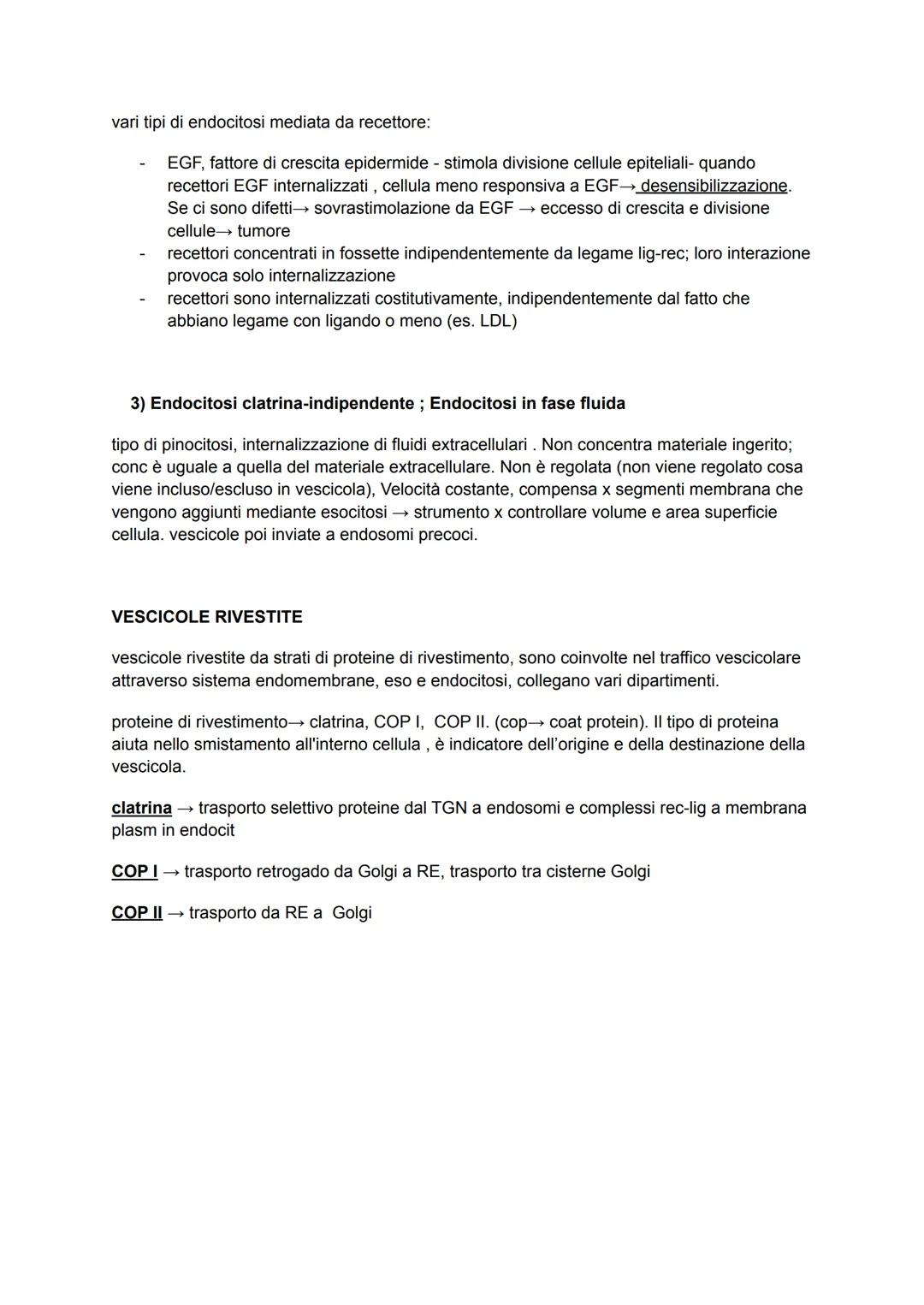 IL SISTEMA DI ENDOMEMBRANE
compartimenti intracellulari per varie attività, connessi da vescicole
endomembrane → reticolo endoplasmatico, ap