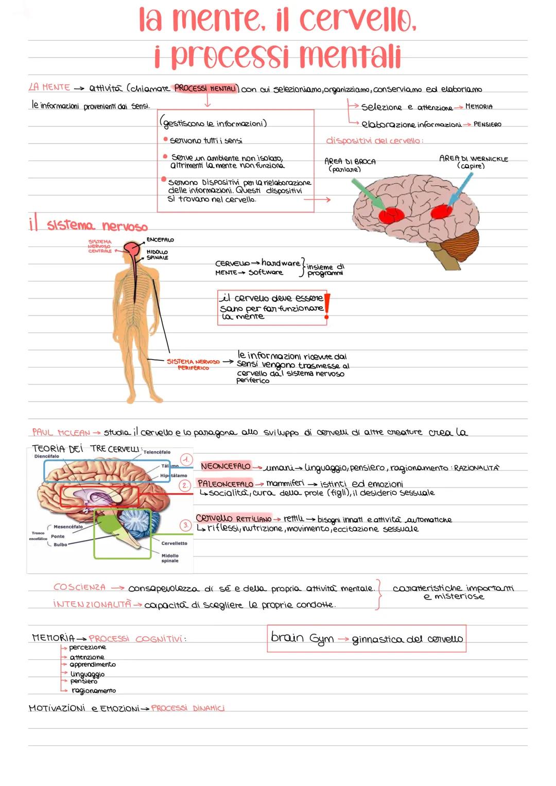 # la mente, il cervello.

# i processi mentali

LA HENTE attività (chiamate PROCESSI MENTALI) con cui selezioniamo, organizziamo, conserviam