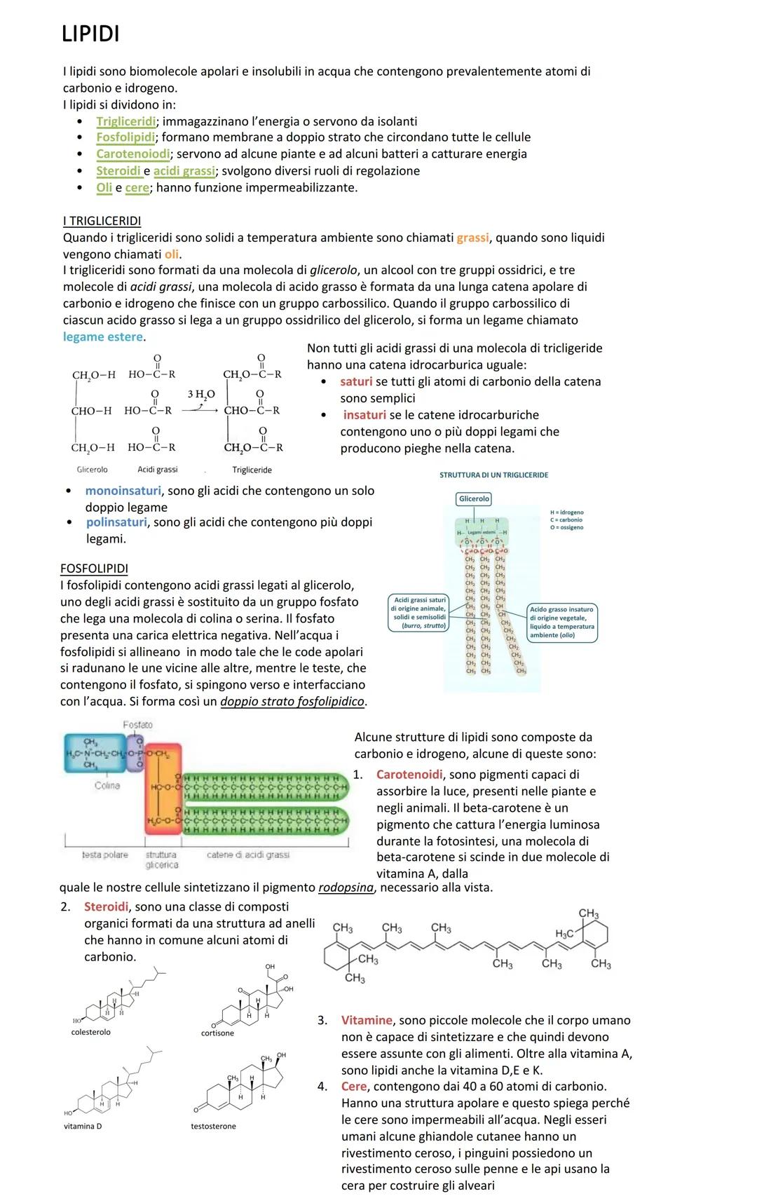 LIPIDI
I lipidi sono biomolecole apolari e insolubili in acqua che contengono prevalentemente atomi di
carbonio e idrogeno.
I lipidi si divi