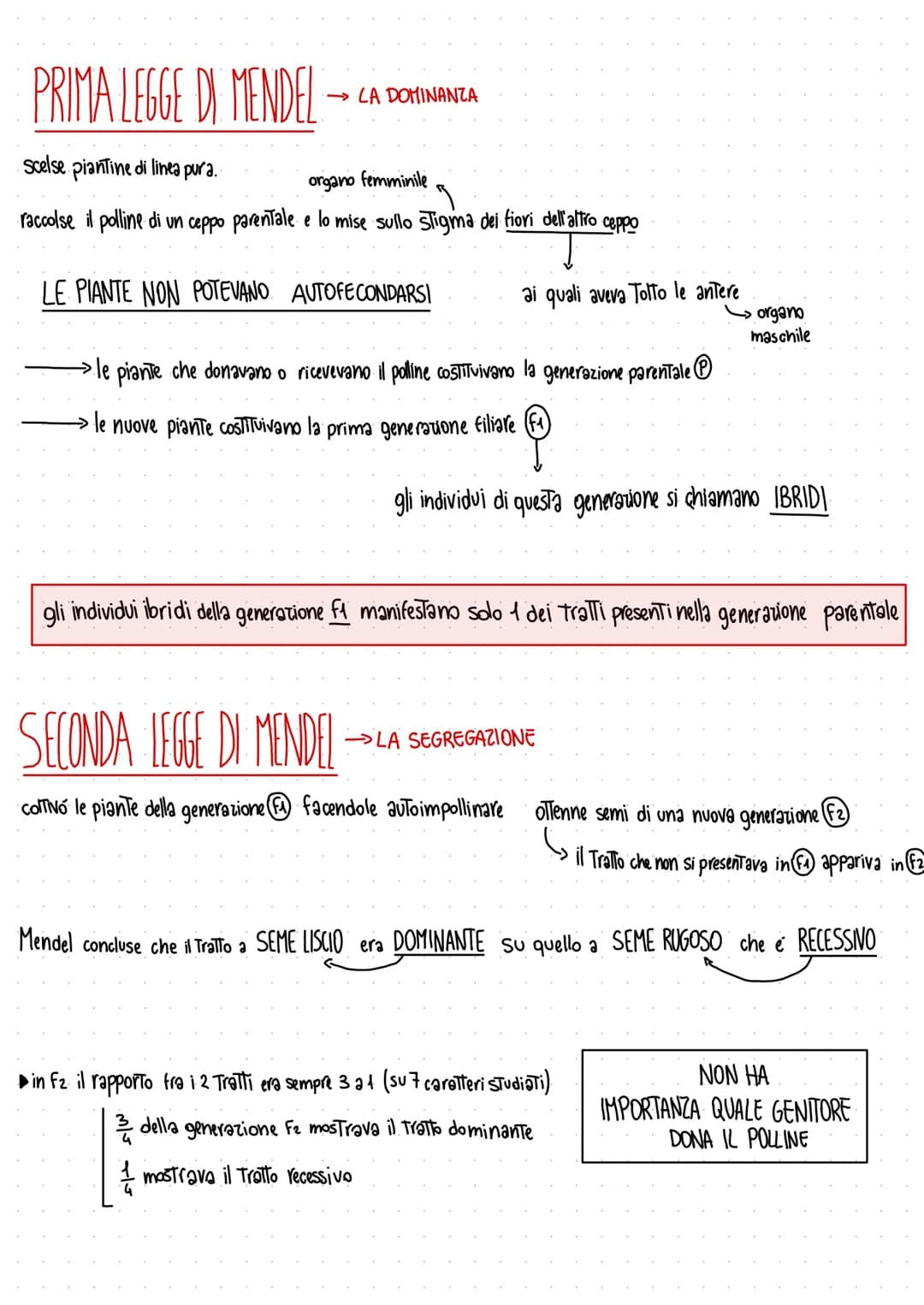 PRIMA LEGGE DI MENDEL
scelse piantine di linea pura..
organo
femminile
raccolse il polline di un ceppo parentale e lo mise sullo stigma dei 