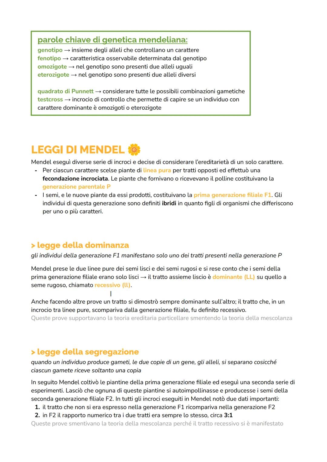 GREGOR MENDEL
Grazie alla meiosi, ogni essere vivente genera organismi simili, ma non identici ai genitori. Fino al
XIX secolo non esistevan