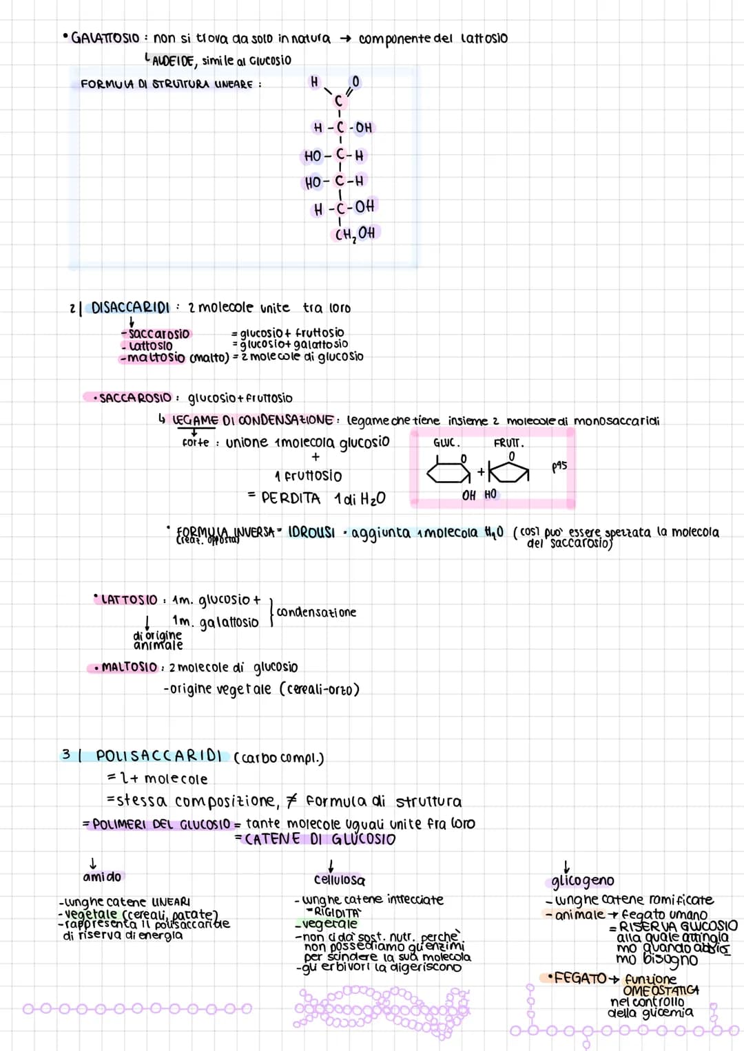 B
1
O
A
M
O
•molecole organiche della vita
·contengono 3 elementi chimici fondamentali:
•4 tipi di molecole della vita: carboidrati
Lipidi
p