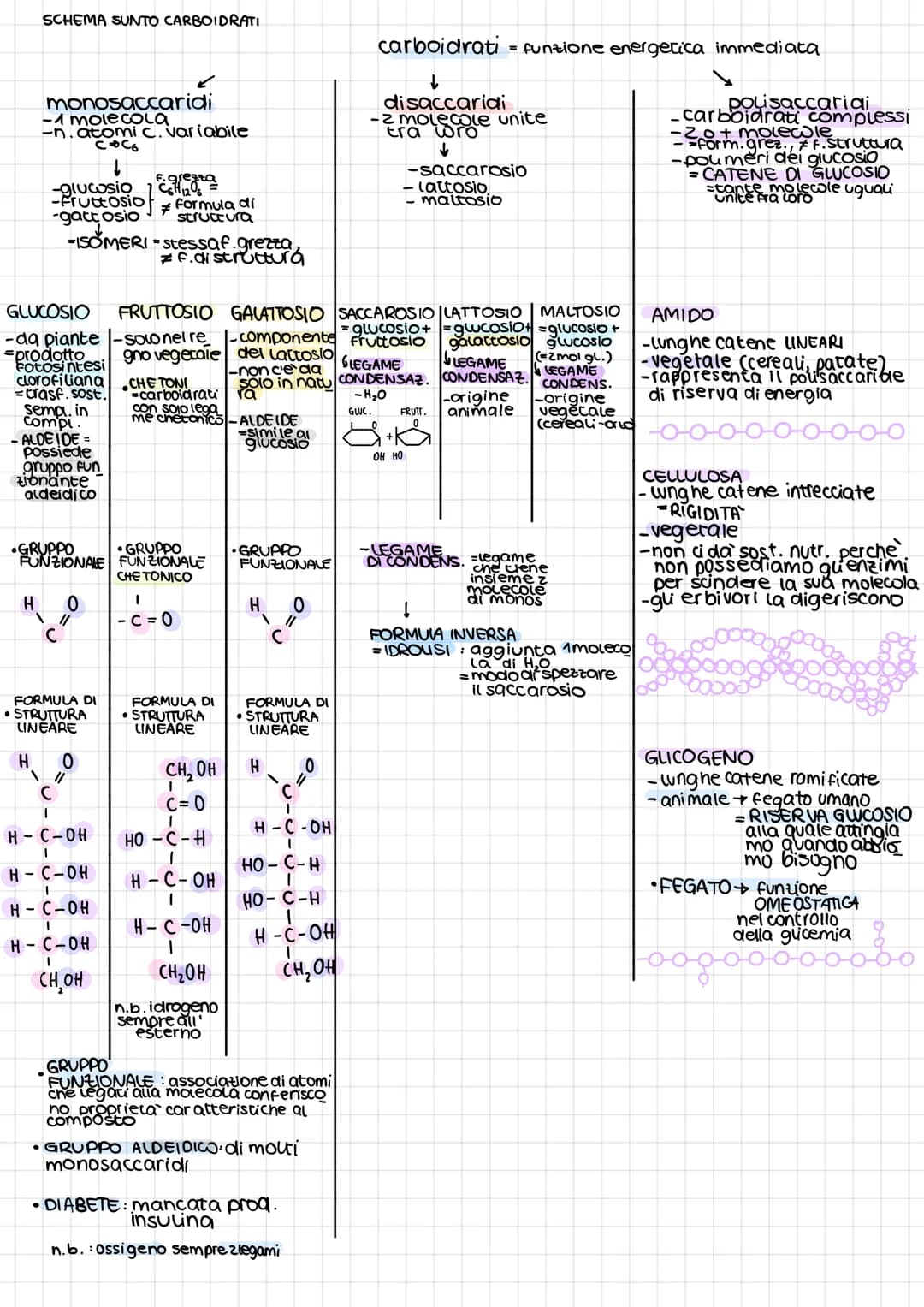 B
1
O
A
M
O
•molecole organiche della vita
·contengono 3 elementi chimici fondamentali:
•4 tipi di molecole della vita: carboidrati
Lipidi
p