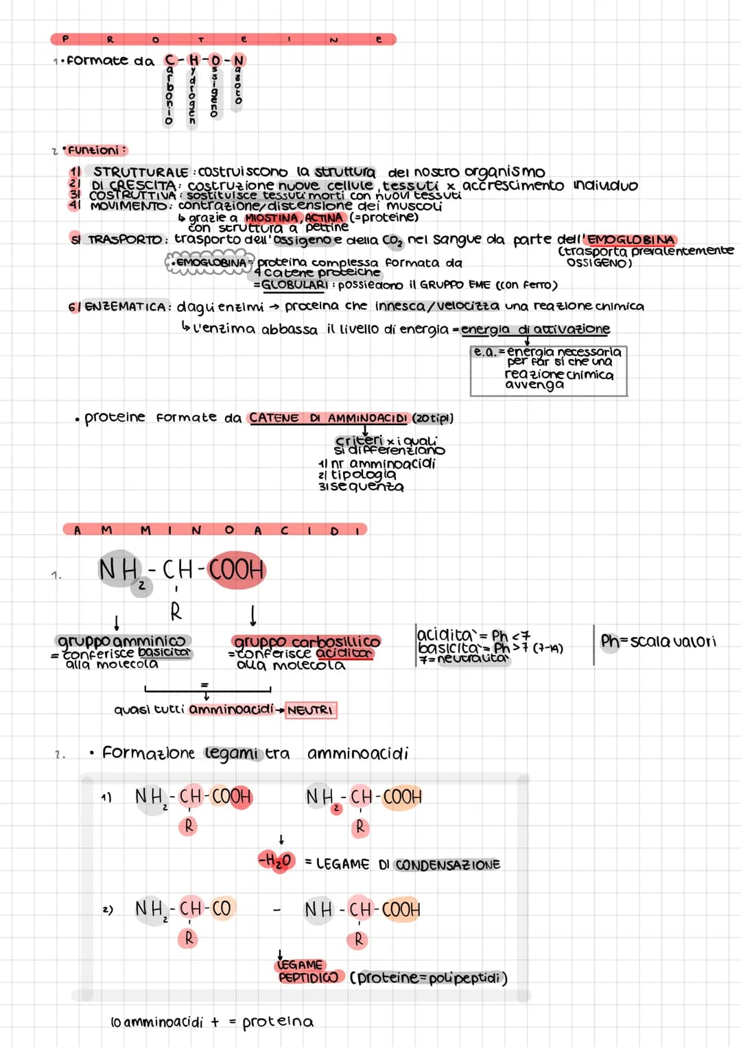 B
1
O
A
M
O
•molecole organiche della vita
·contengono 3 elementi chimici fondamentali:
•4 tipi di molecole della vita: carboidrati
Lipidi
p