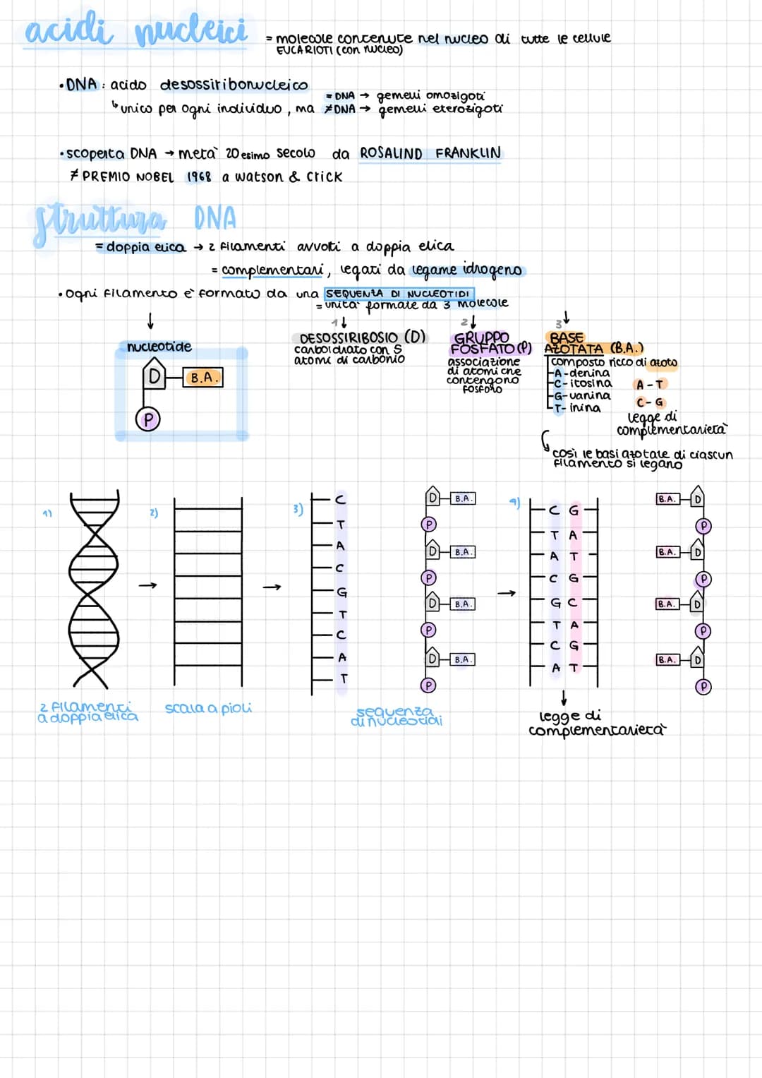 B
1
O
A
M
O
•molecole organiche della vita
·contengono 3 elementi chimici fondamentali:
•4 tipi di molecole della vita: carboidrati
Lipidi
p