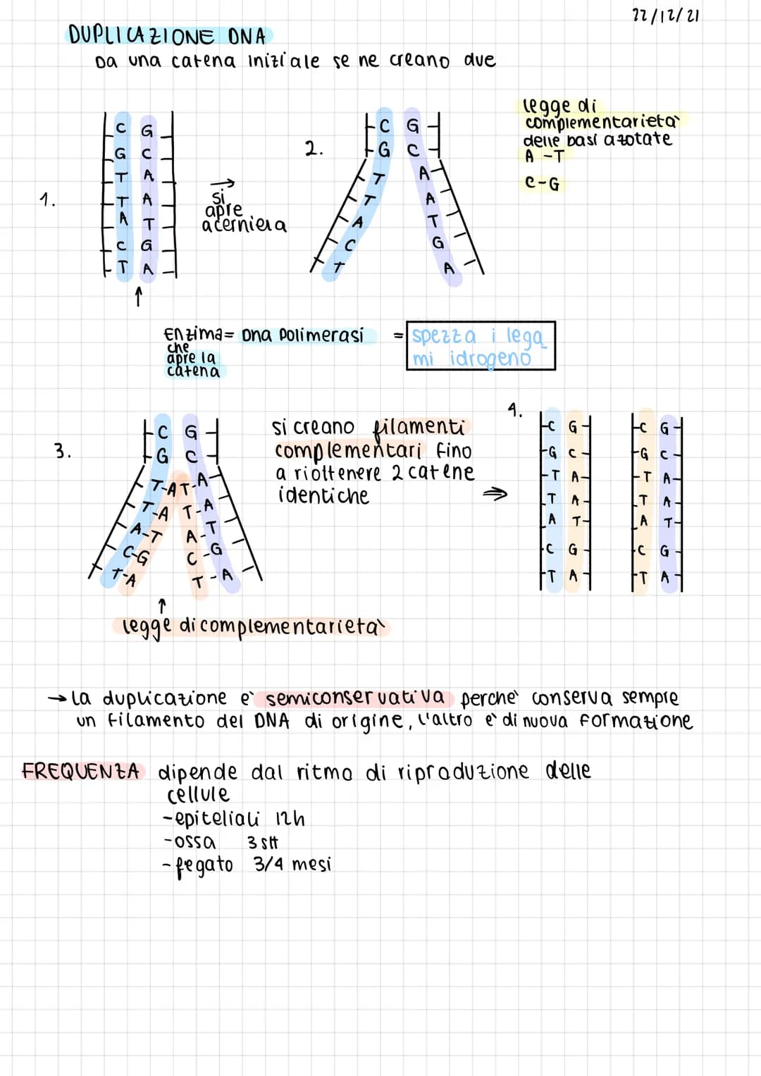 B
1
O
A
M
O
•molecole organiche della vita
·contengono 3 elementi chimici fondamentali:
•4 tipi di molecole della vita: carboidrati
Lipidi
p