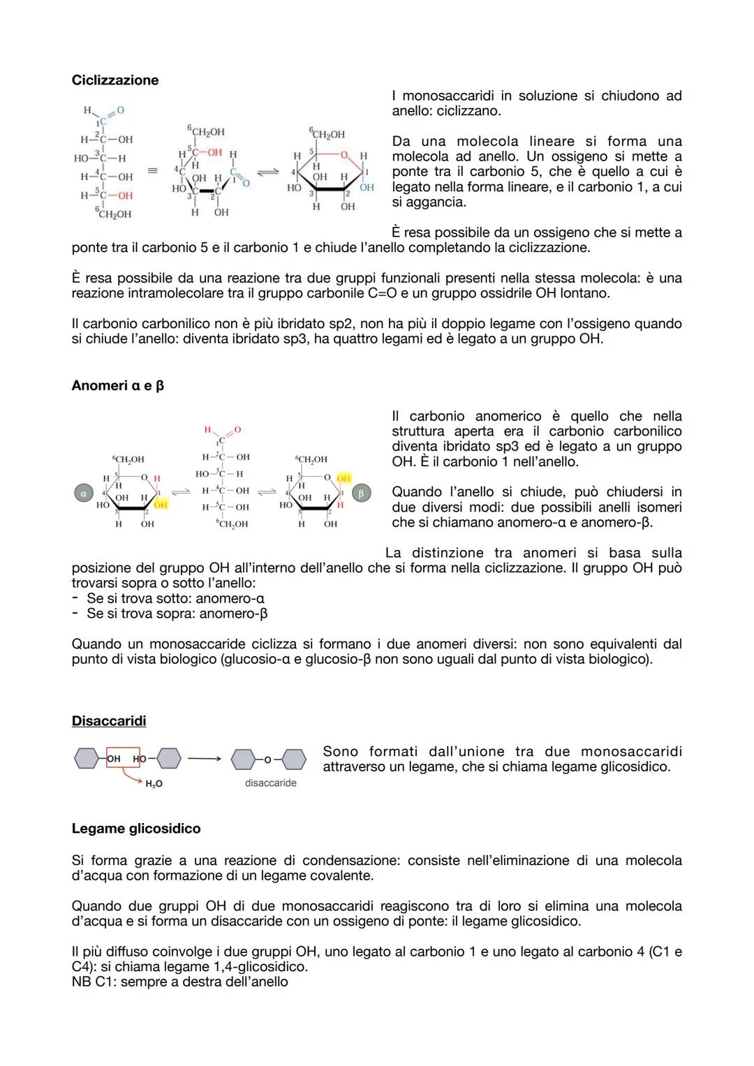 19.09.2023

BIOCHIMICA
La biochimica studia le molecole organiche dei viventi.

Tutte le molecole organiche hanno caratteristiche comuni:
- 