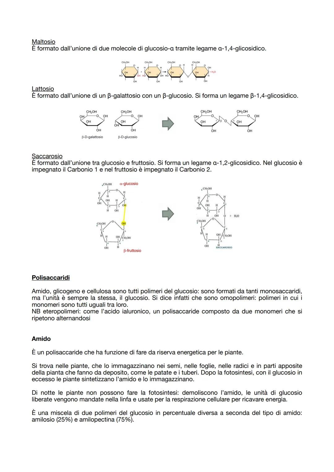 19.09.2023

BIOCHIMICA
La biochimica studia le molecole organiche dei viventi.

Tutte le molecole organiche hanno caratteristiche comuni:
- 