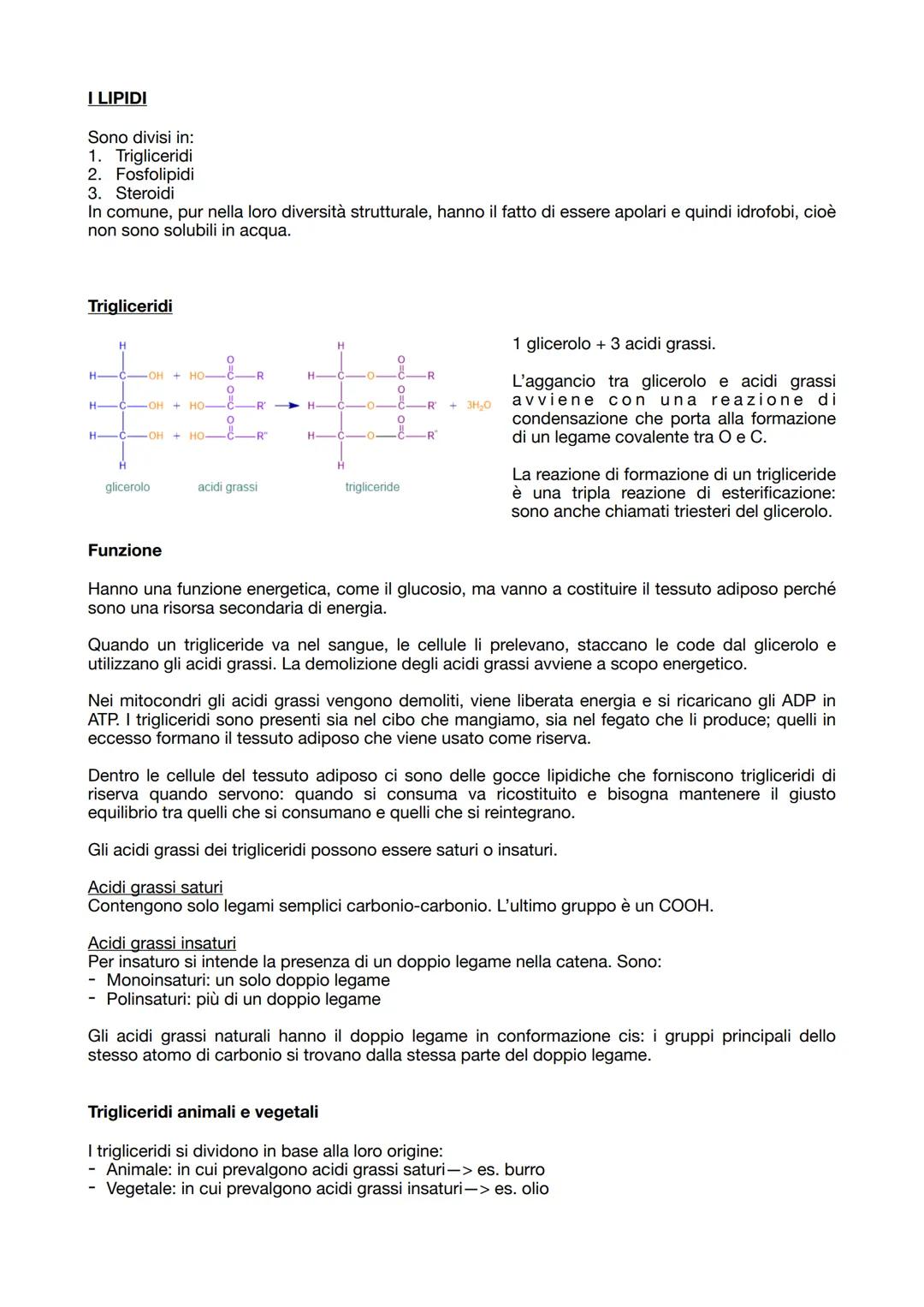 19.09.2023

BIOCHIMICA
La biochimica studia le molecole organiche dei viventi.

Tutte le molecole organiche hanno caratteristiche comuni:
- 