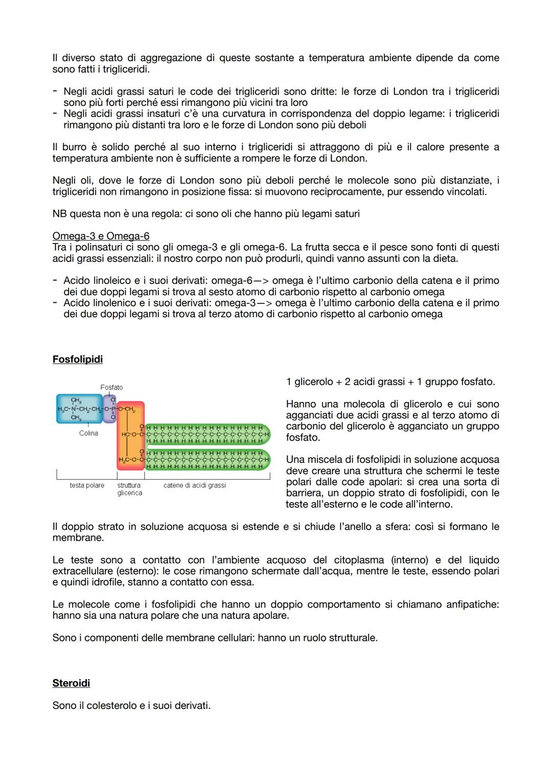 19.09.2023

BIOCHIMICA
La biochimica studia le molecole organiche dei viventi.

Tutte le molecole organiche hanno caratteristiche comuni:
- 