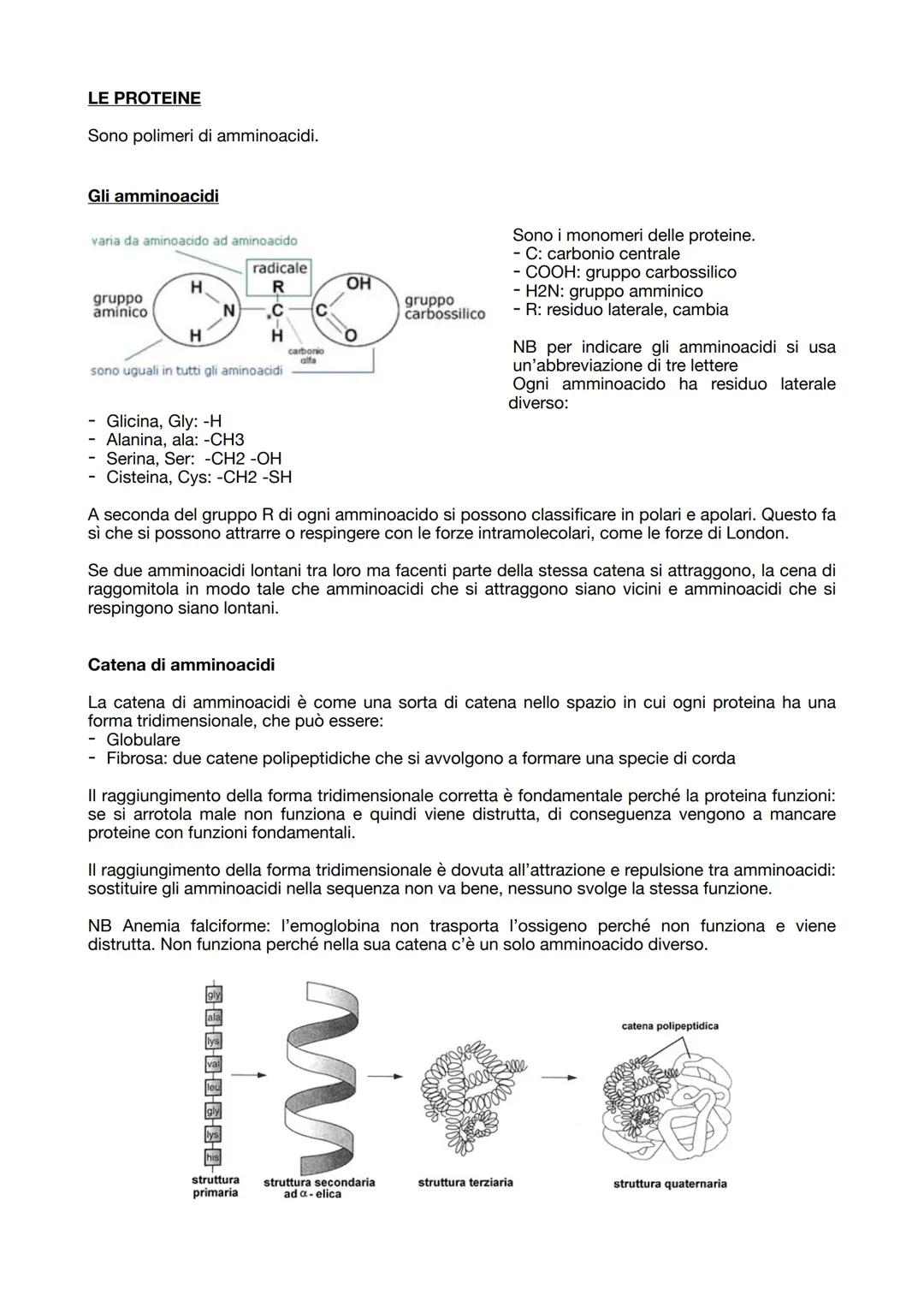 19.09.2023

BIOCHIMICA
La biochimica studia le molecole organiche dei viventi.

Tutte le molecole organiche hanno caratteristiche comuni:
- 
