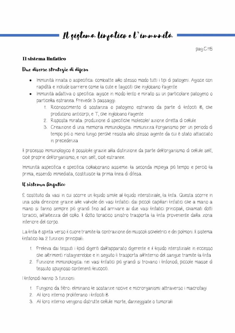 Know sistema linfatico, immunità thumbnail
