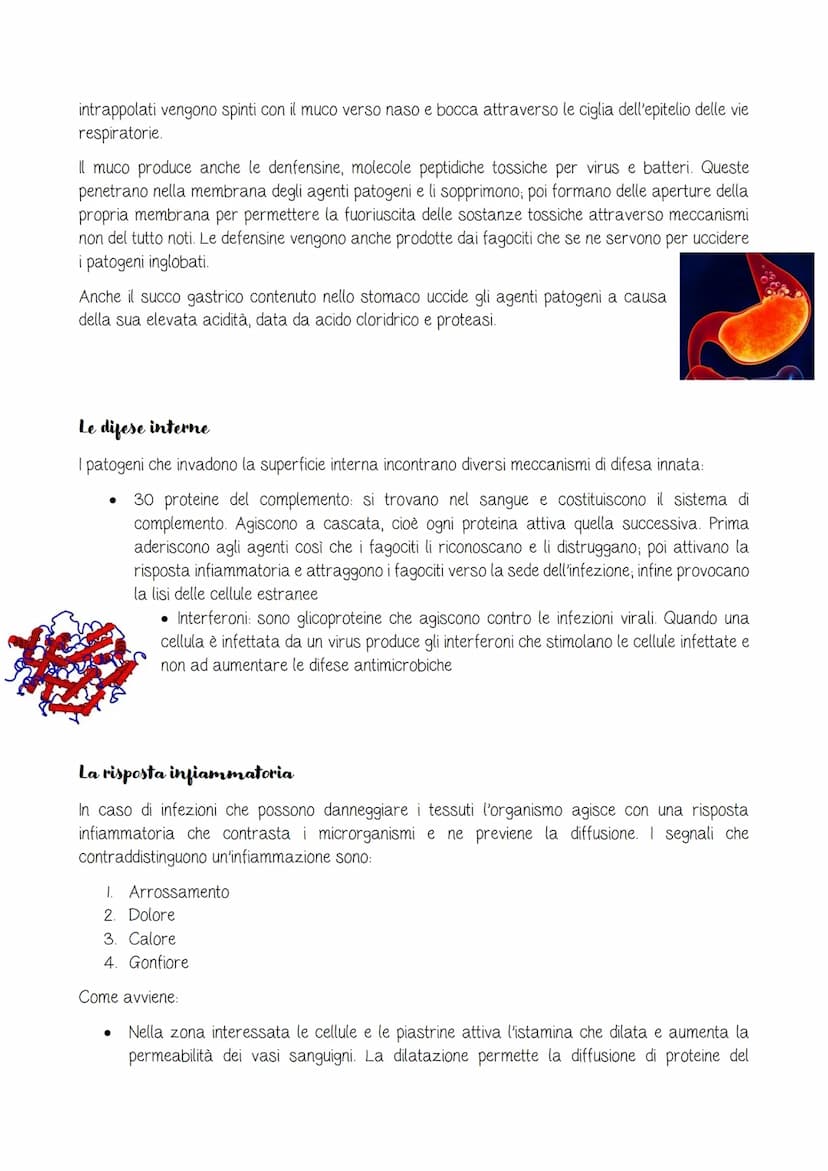 Il sistema linfatico e l'immunità
pag.C115
Il sistema linfatico
Due diverse strategie di difesa
Immunità innata o aspecifica: combatte allo 