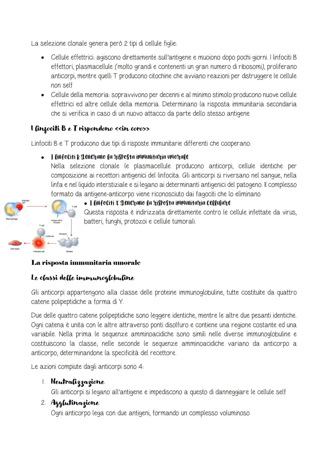 Il sistema linfatico e l'immunità
pag.C115
Il sistema linfatico
Due diverse strategie di difesa
Immunità innata o aspecifica: combatte allo 