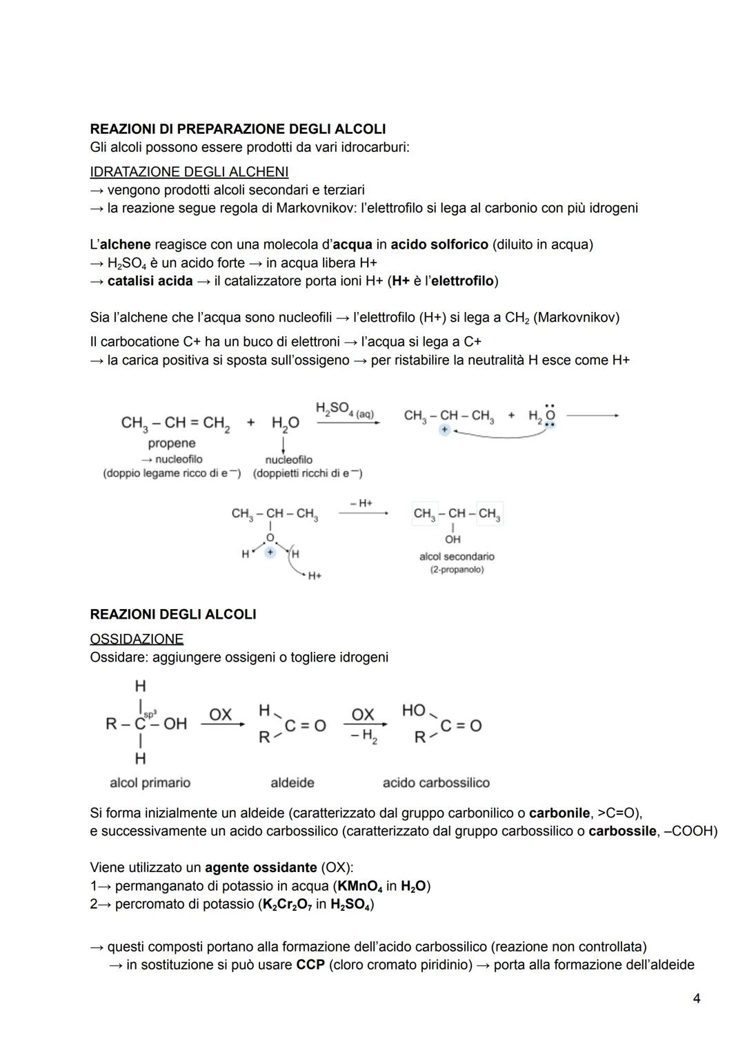 ALCOLI
formula generale: R - OH
Sono composti organici derivanti dall'acqua → contengono il gruppo ossidrile o idrossido (OH)
Il gruppo R pu